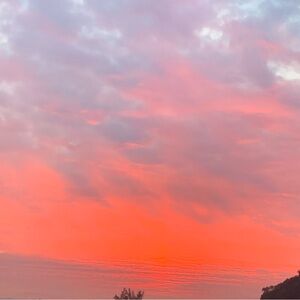 Meet your Posher, Halol